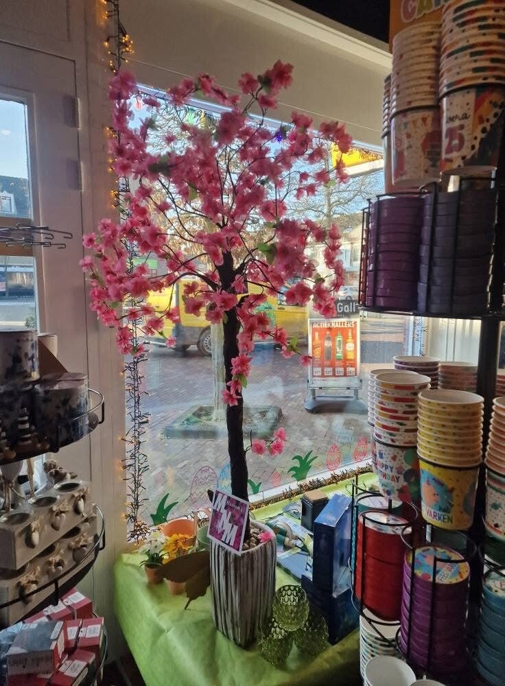 Blossomboom van MnM Blossom's