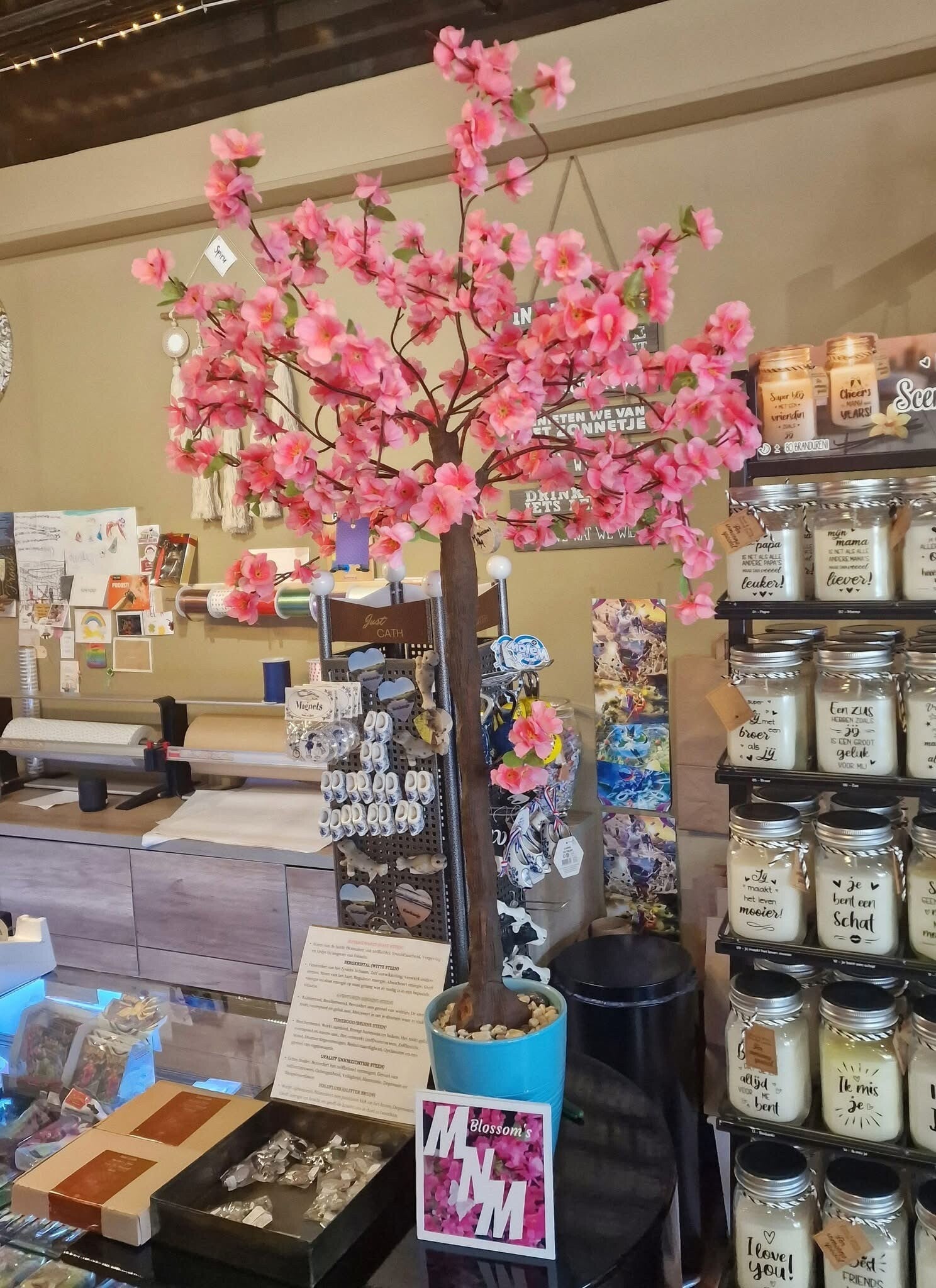 Blossomboom van MnM Blossom's