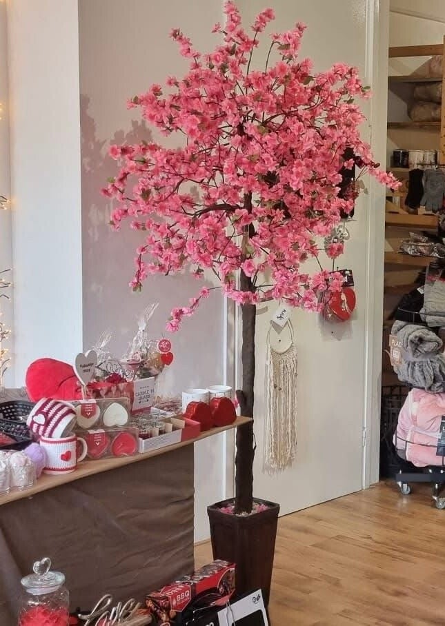 Blossemboom van MnM Blossom's