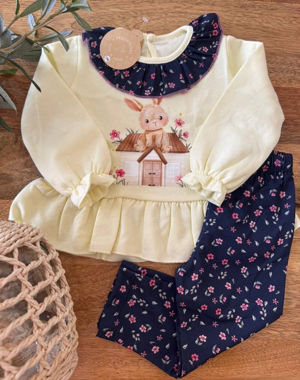 Conjunto casita conejo