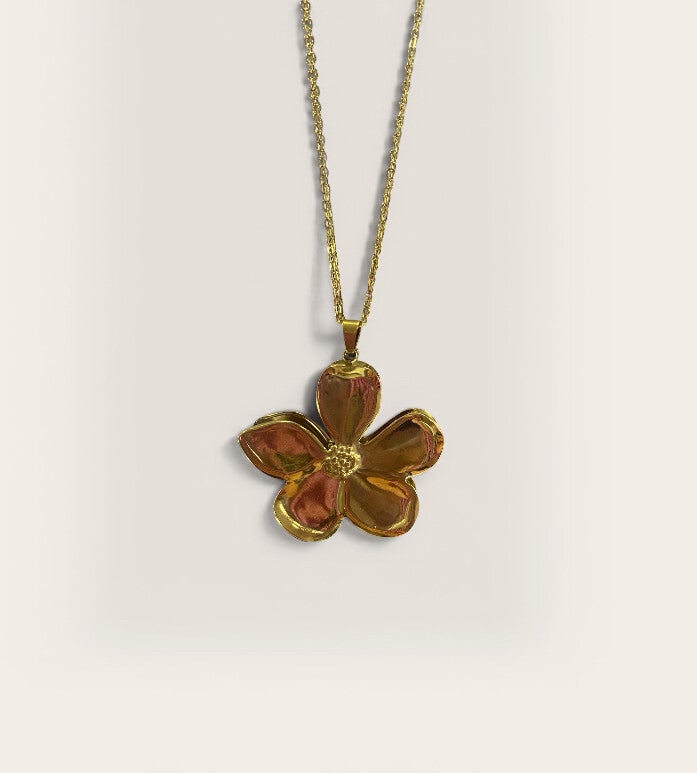 𝐁𝐥𝐨𝐞𝐦 𝐤𝐞𝐭𝐭𝐢𝐧𝐠 𝐤𝐨𝐫𝐭