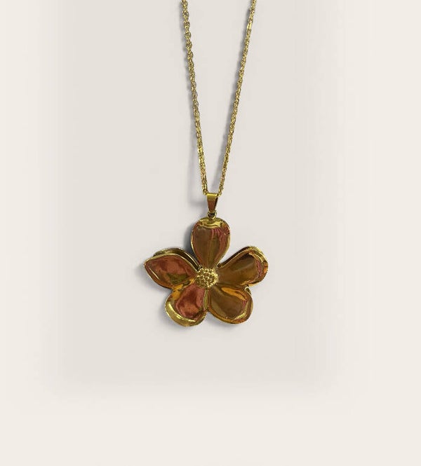 𝐁𝐥𝐨𝐞𝐦 𝐤𝐞𝐭𝐭𝐢𝐧𝐠 𝐤𝐨𝐫𝐭