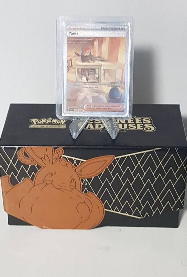 Lot de cartes Pokémon Aléatoire