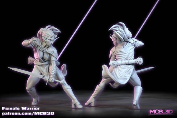 Gaz-Minis Saya Demon Warrior Female / 3D Miniaturen für Wargaming und Tabletop, DnD, Fantasy