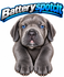 Battery Spot CLT