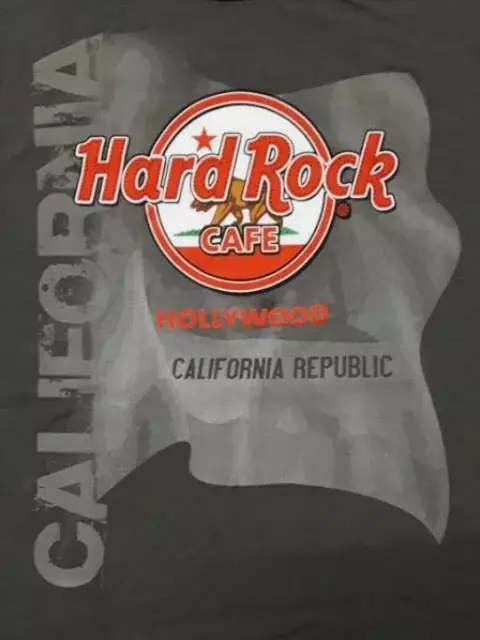 Hollywood Flag Logo