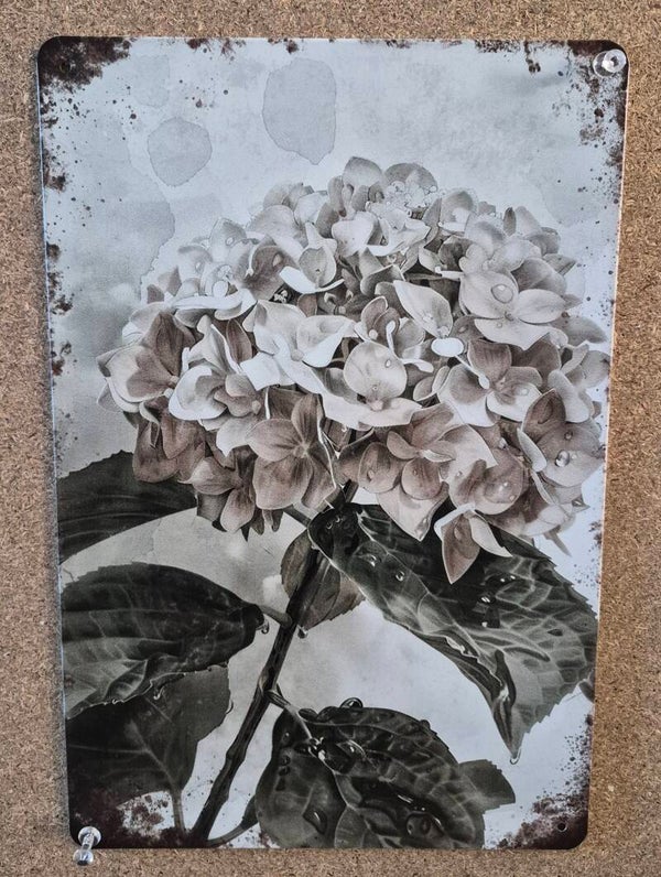 Plaque murale l'hortensia blanc 20/30