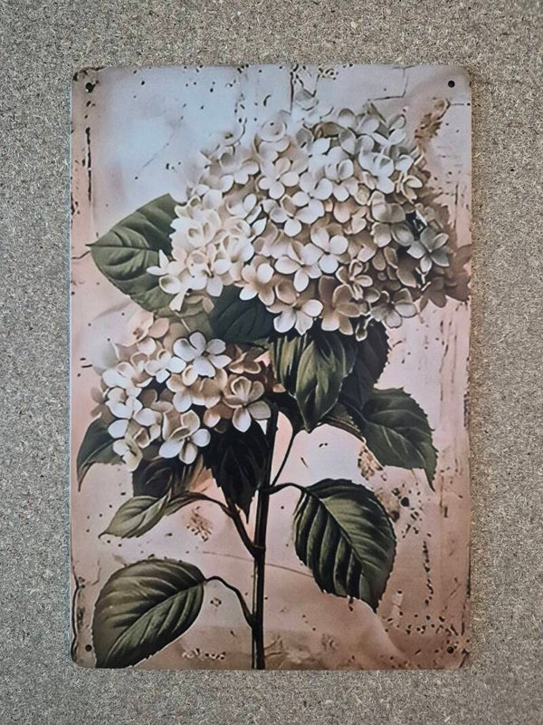 Plaque aluminium l'hortensia écru