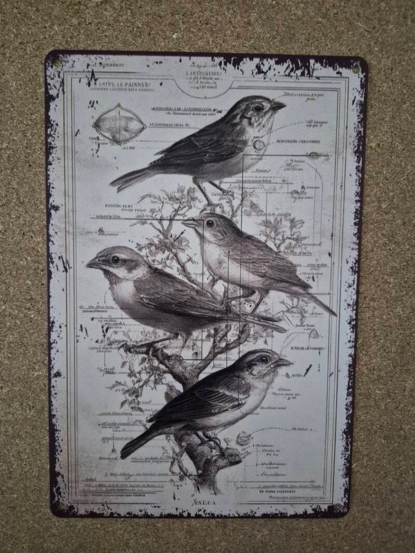 Plaque aluminium les oiseaux