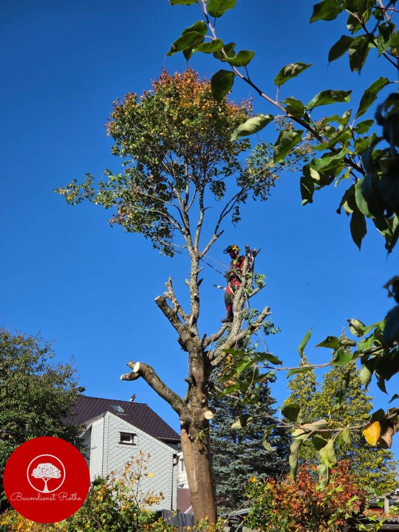 2026_10_05-peter-ruck-gro-breitenbach-6-standard.jpg