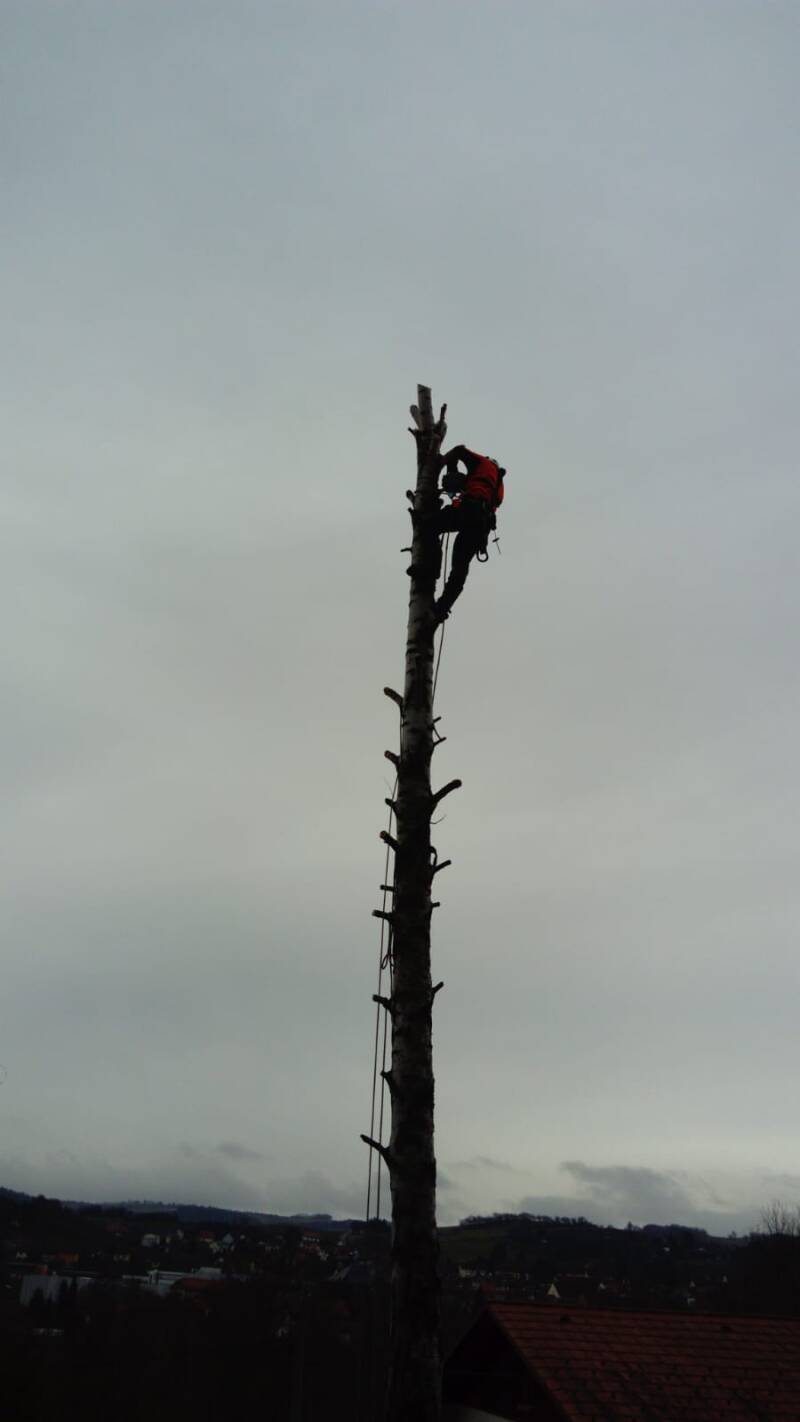 img-20201205-wa0048-standard-0ztgxj.jpg