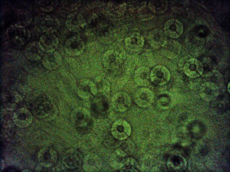 Astra_Lite with IR filter