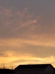 1000011111-standard.jpg