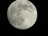 1000011124-standard-hsdmpt.jpg