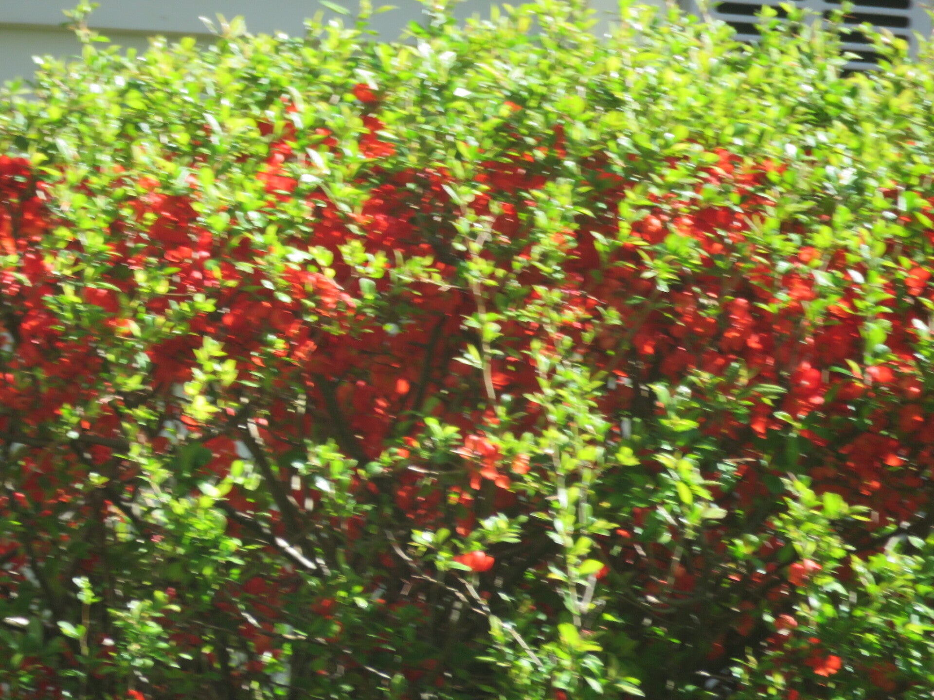 20260522073433-standard.jpg