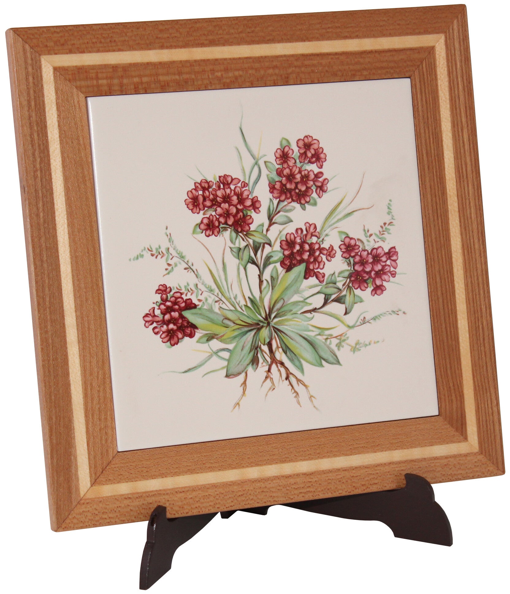 Alpenblumen 2