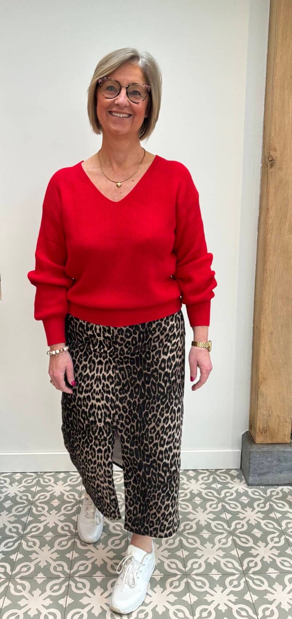 Wild leopard long skirt