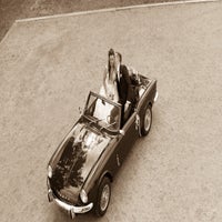 dsc01039-standard.jpg