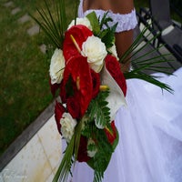 dsc02417-standard.jpg
