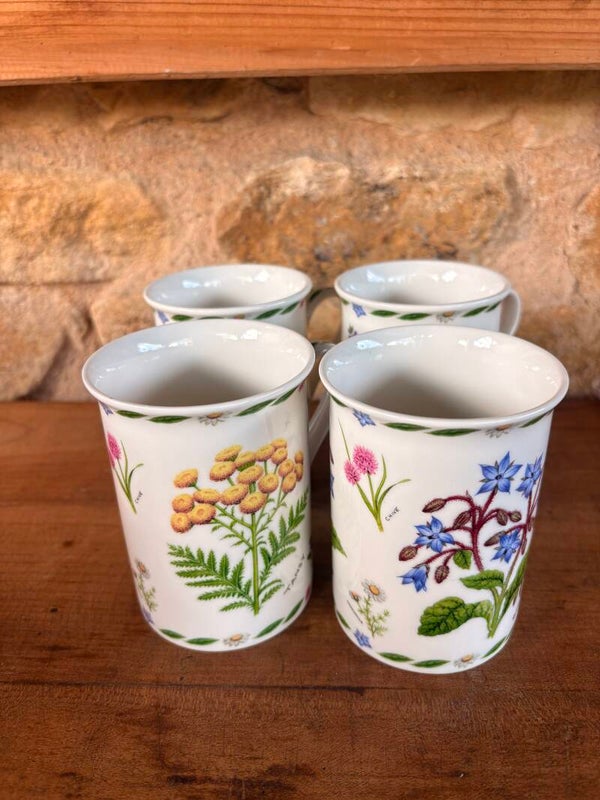 Lot de 4 mugs botaniques