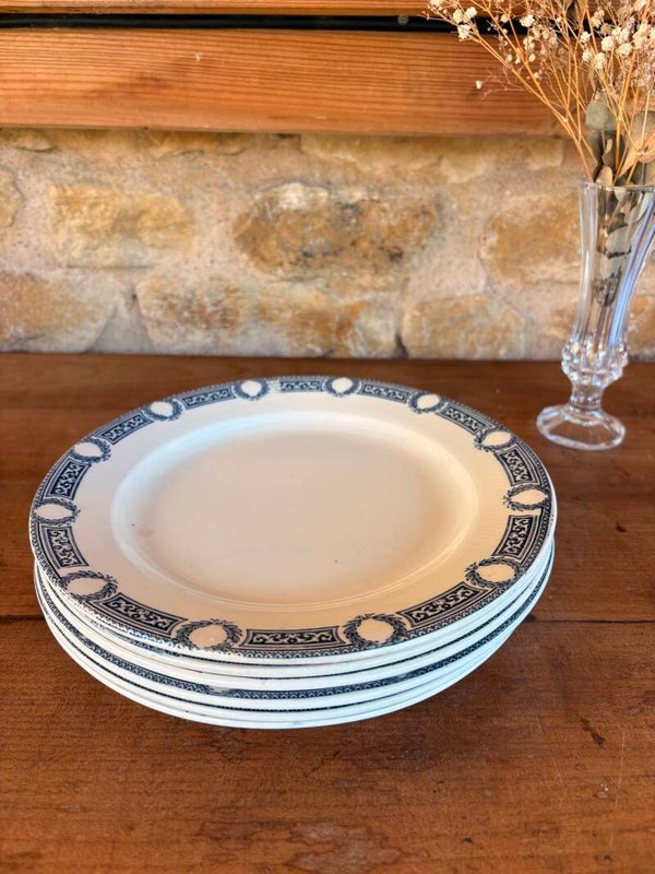 Lot de 6 assiettes anciennes Salins – modèle Saïda