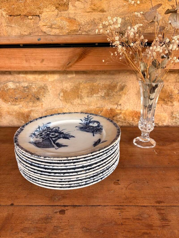 Lot de 11 assiettes anciennes en terre de fer – Badonviller