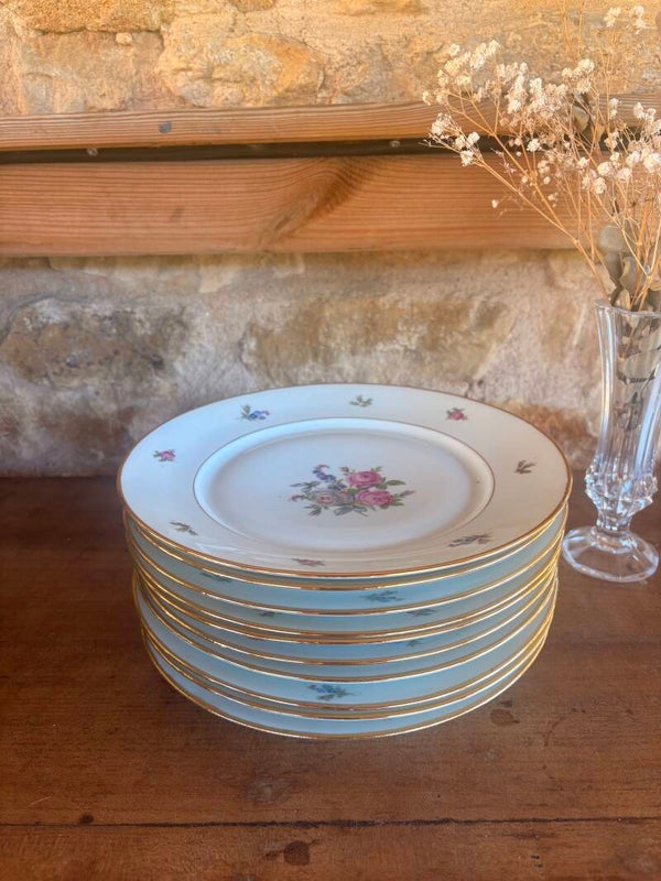 10 assiettes anciennes en porcelaine