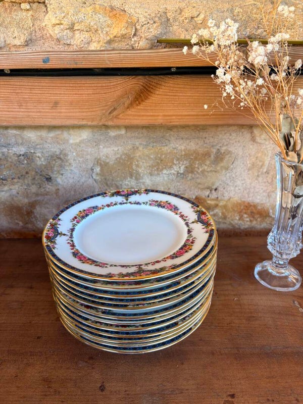12 petites assiettes en porcelaine de Limoges