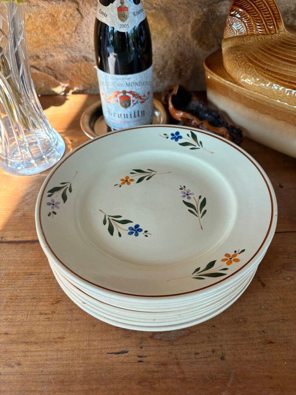 Lot de 10 assiettes plates anciennes – décor floral peint