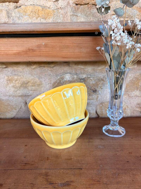Paire de bols vintage en céramique émaillée jaune
