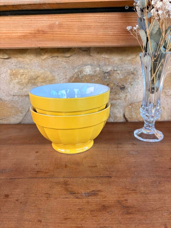 Paire de bols vintage en céramique jaune et blanche