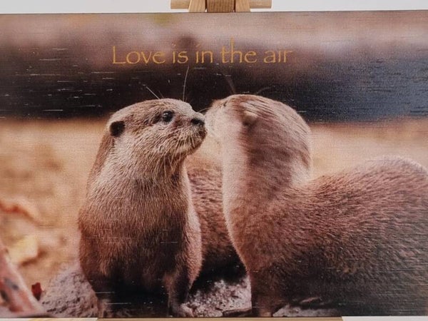 Bamboo Cards - Love