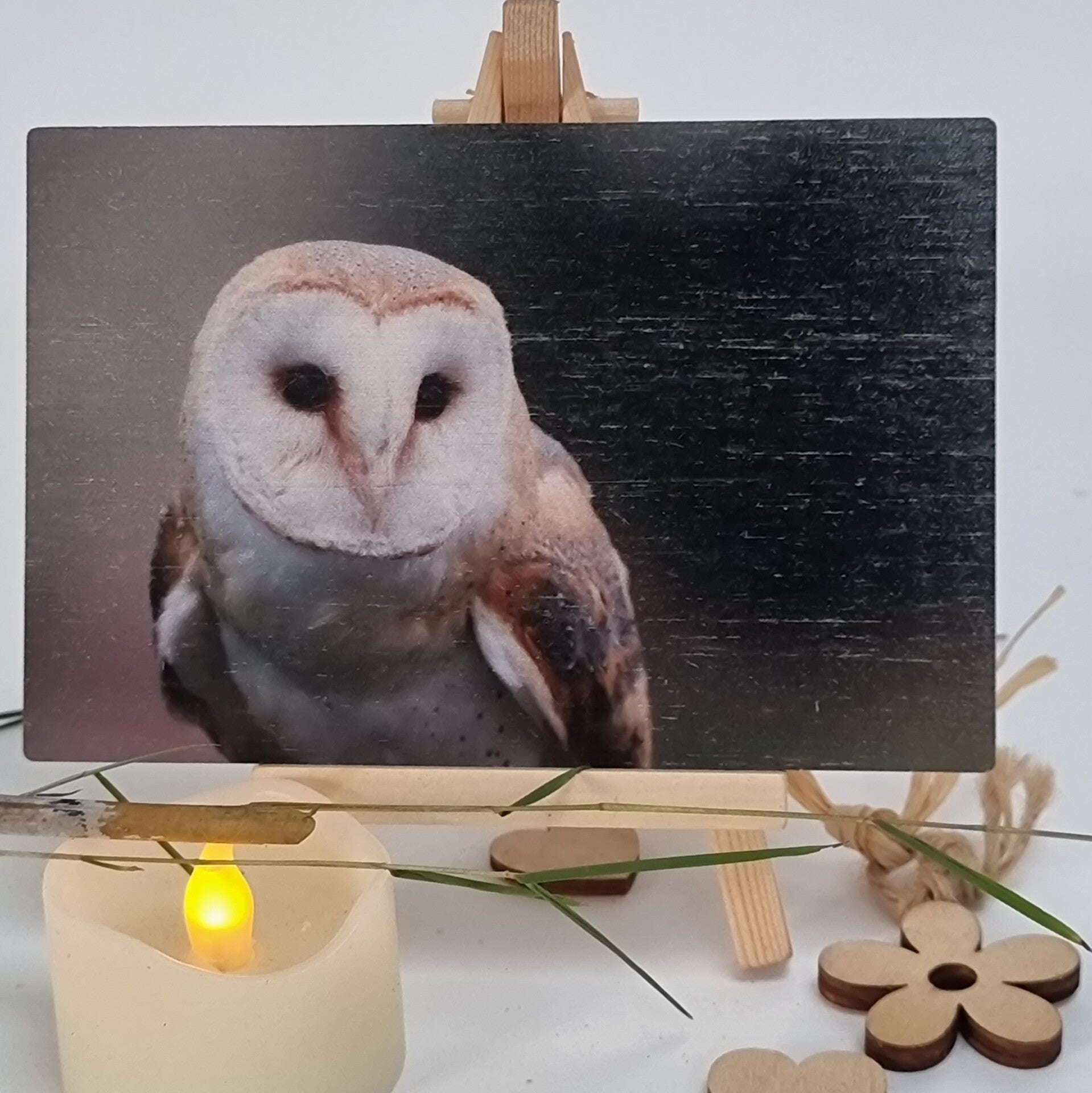 Bamboo Cards - Wild Birds