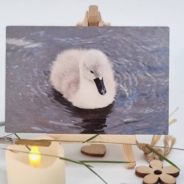 Bamboo Cards - Water birds