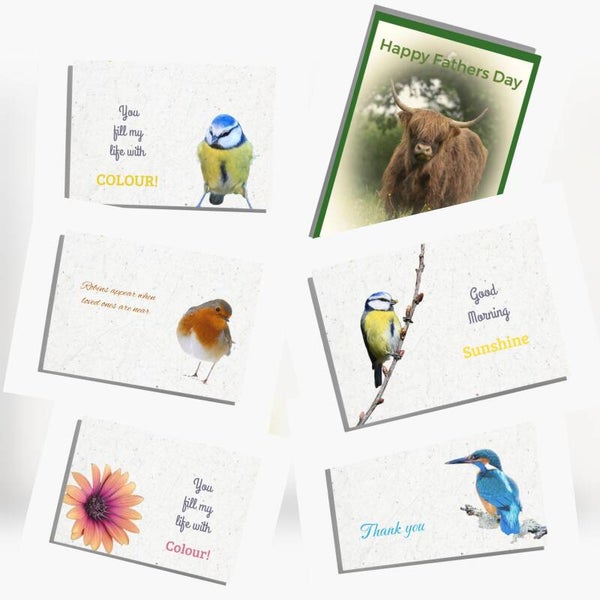 Flat Notelets - set of any 6