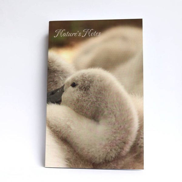 Perfect Bound A5 Notebook - Sleeping Cygnets
