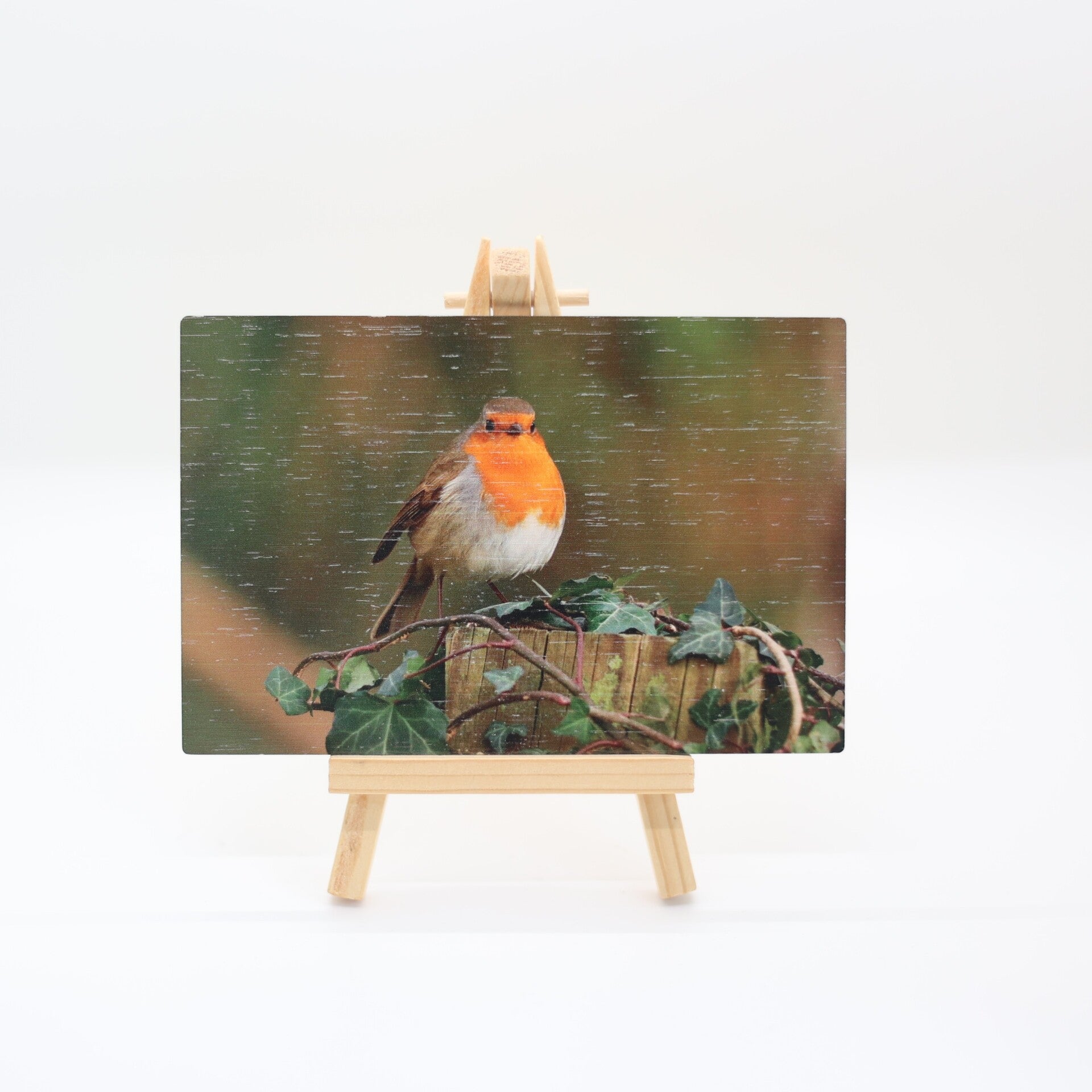 Bamboo Cards - Garden Birds