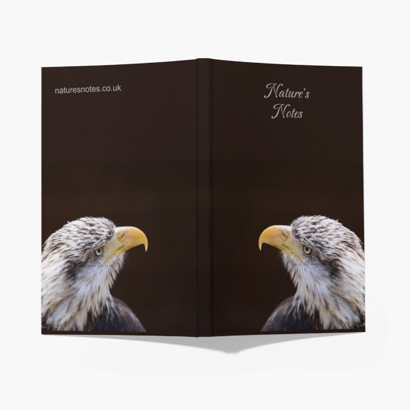 Perfect Bound A5 Notebook - Bald Eagle