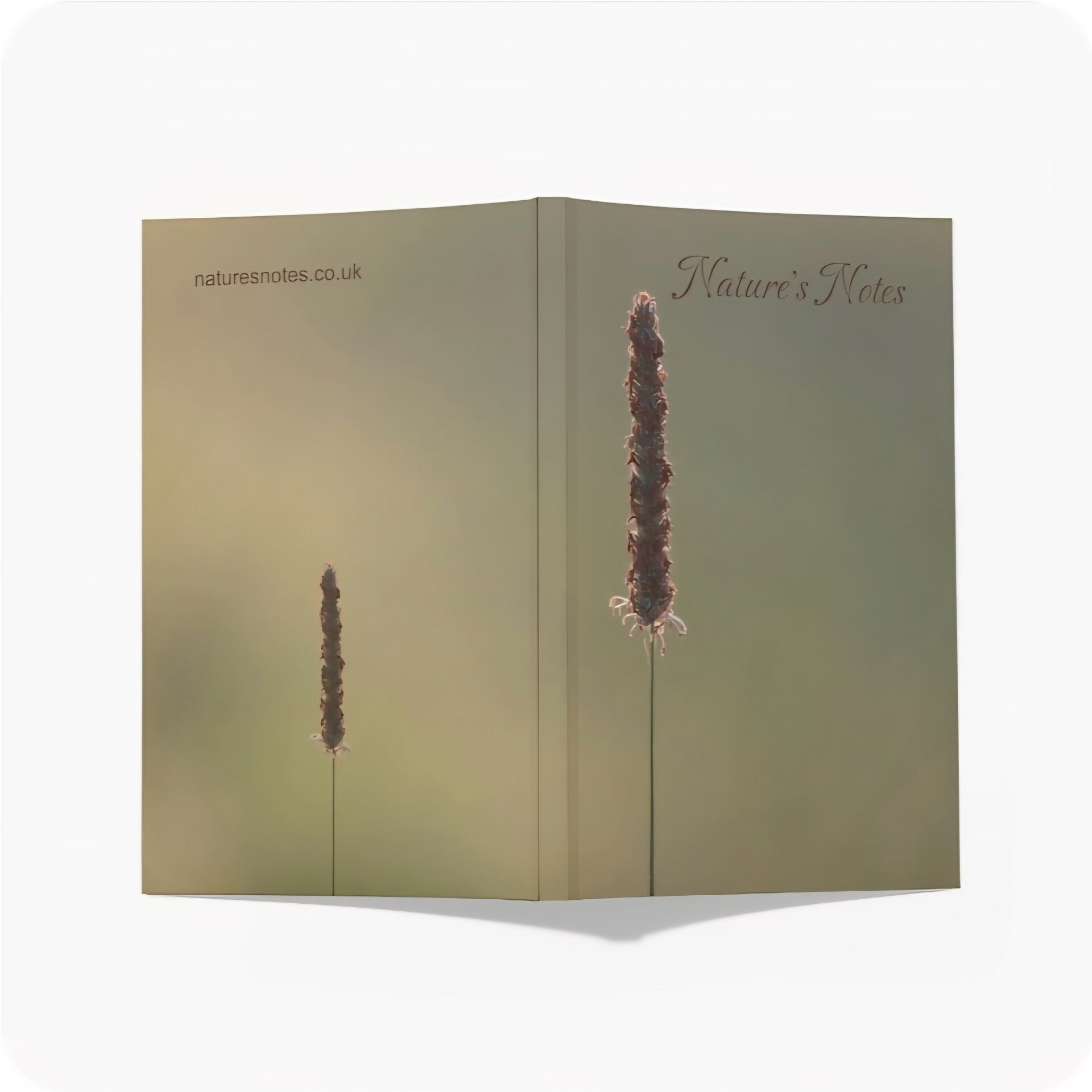 Perfect Bound A5 Notebook - Single seed head