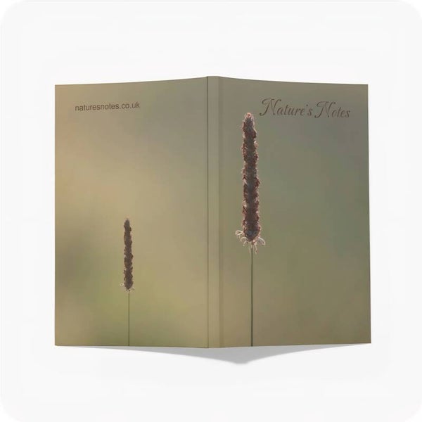 Perfect Bound A5 Notebook - Single Seed Head