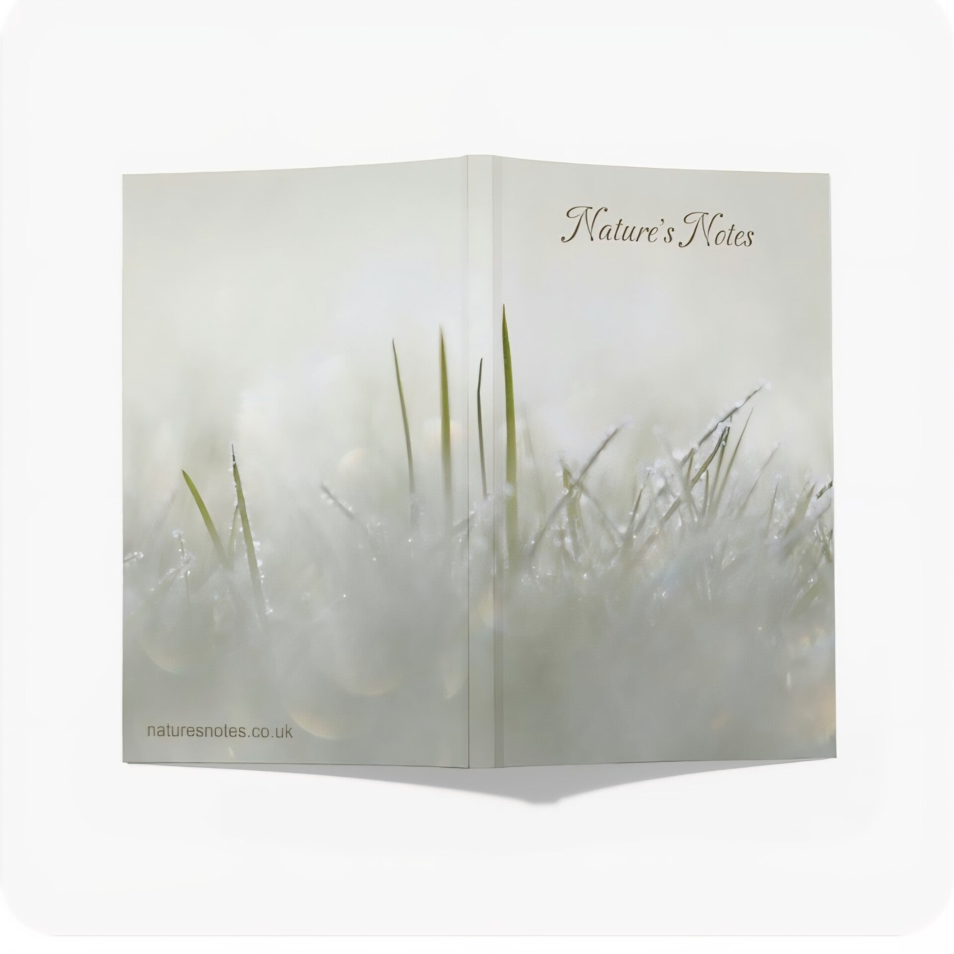 Perfect Bound A5 Notebook - Frosty Grass