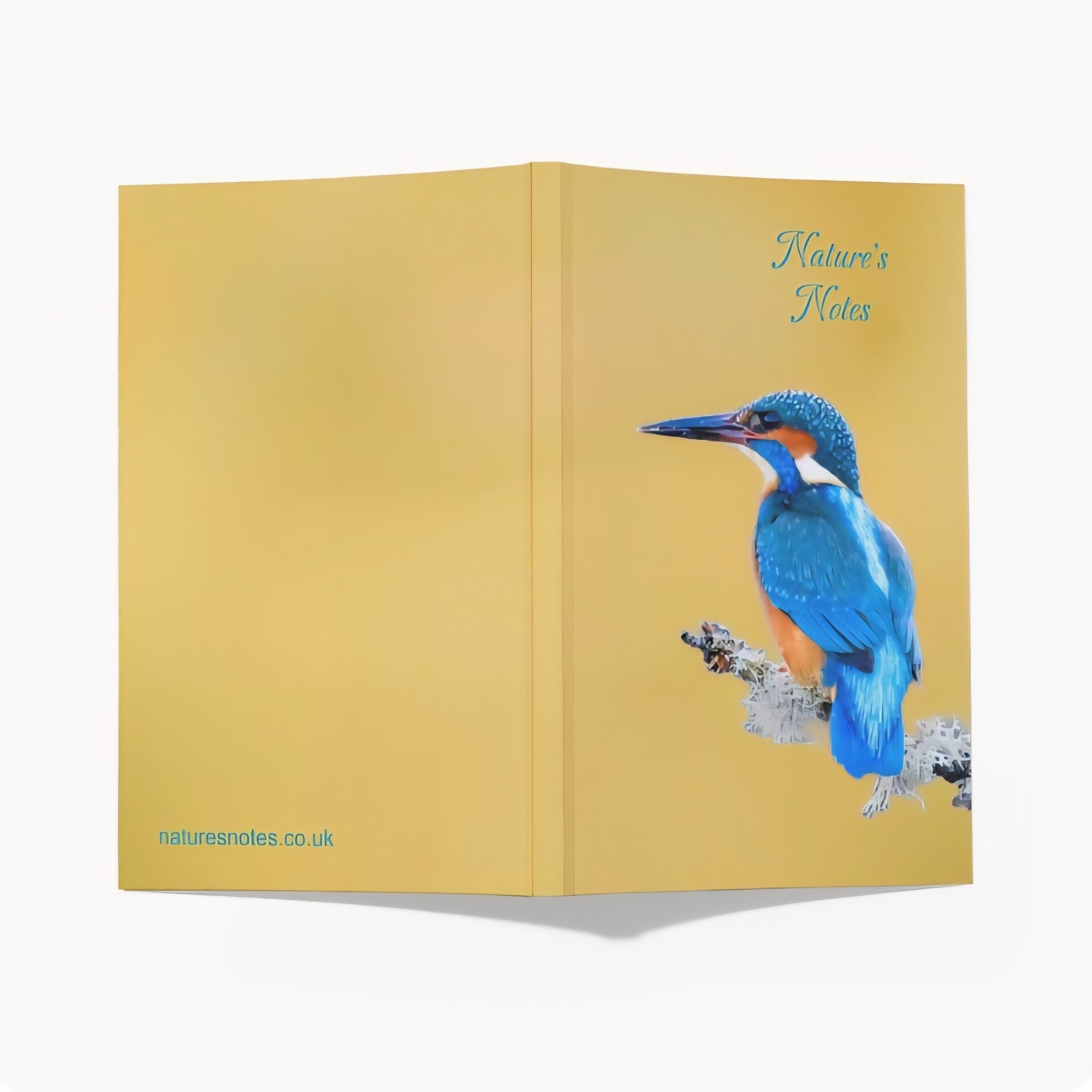 Perfect Bound A5 Notebook - Kingfisher Yellow BG