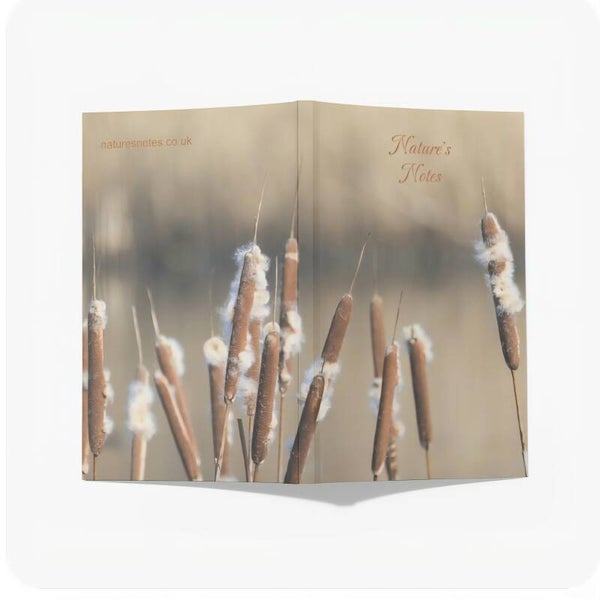 Perfect Bound A5 Notebook - Bulrush Swaying