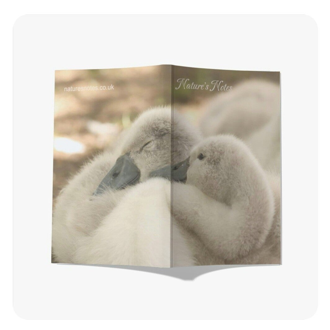 Perfect Bound A5 Notebook - Sleeping Cygnets
