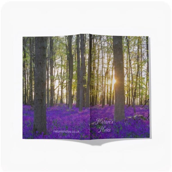Perfect Bound A5 Notebook - Bluebell Woodland