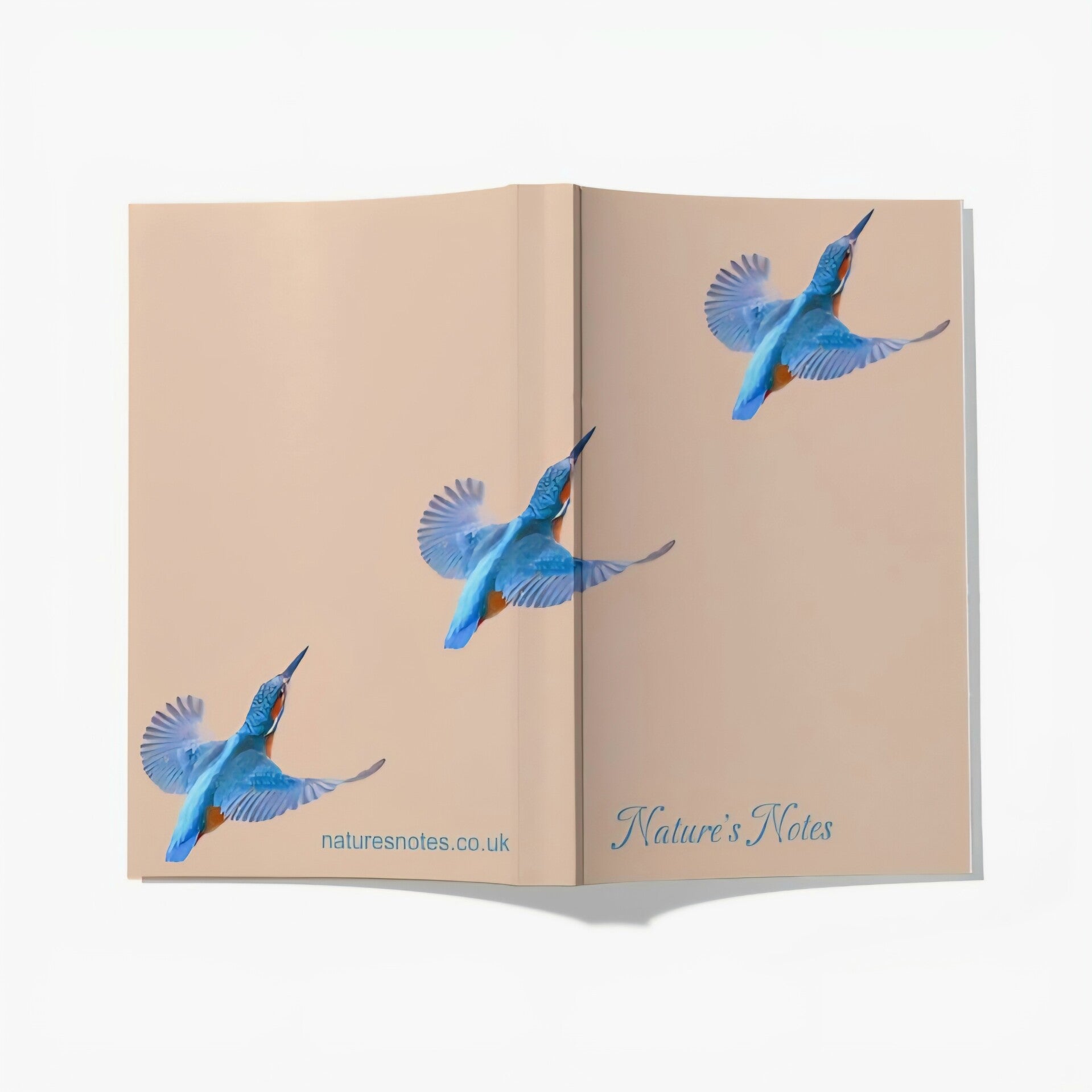 Perfect Bound A5 Notebook - Kingfisher Beige