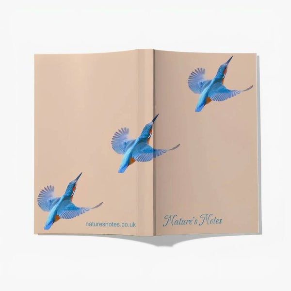 Perfect Bound A5 Notebook - Kingfisher Beige