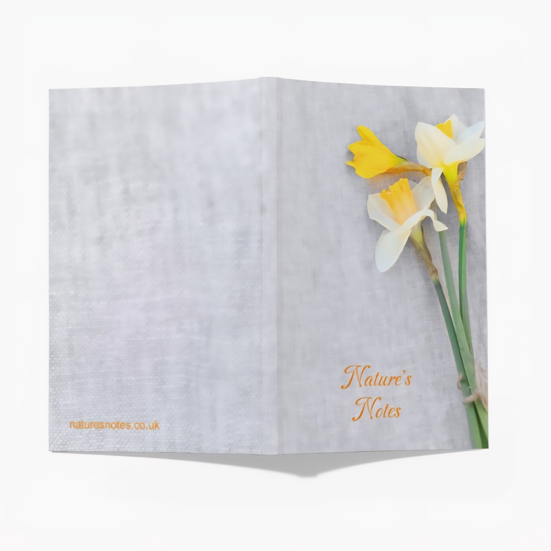 Perfect Bound A5 Notebook - Springtime Daffodils