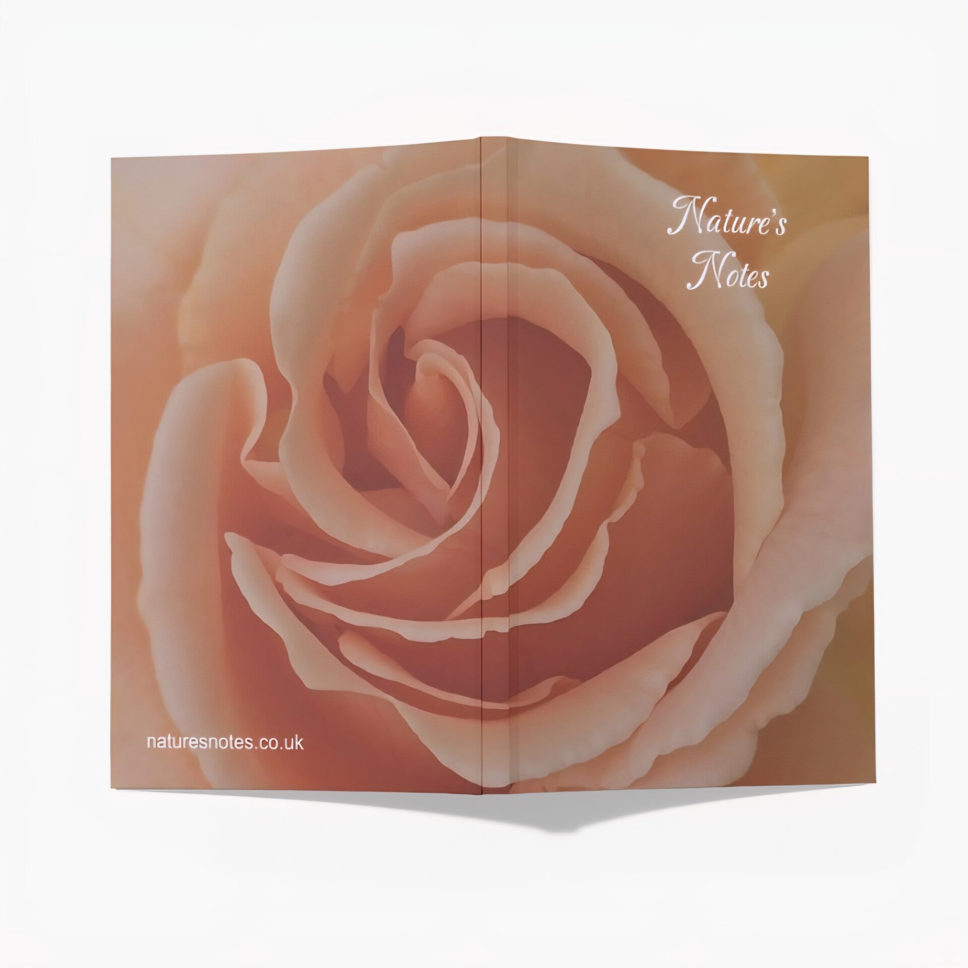 Perfect Bound A5 Notebook - Peach Rose