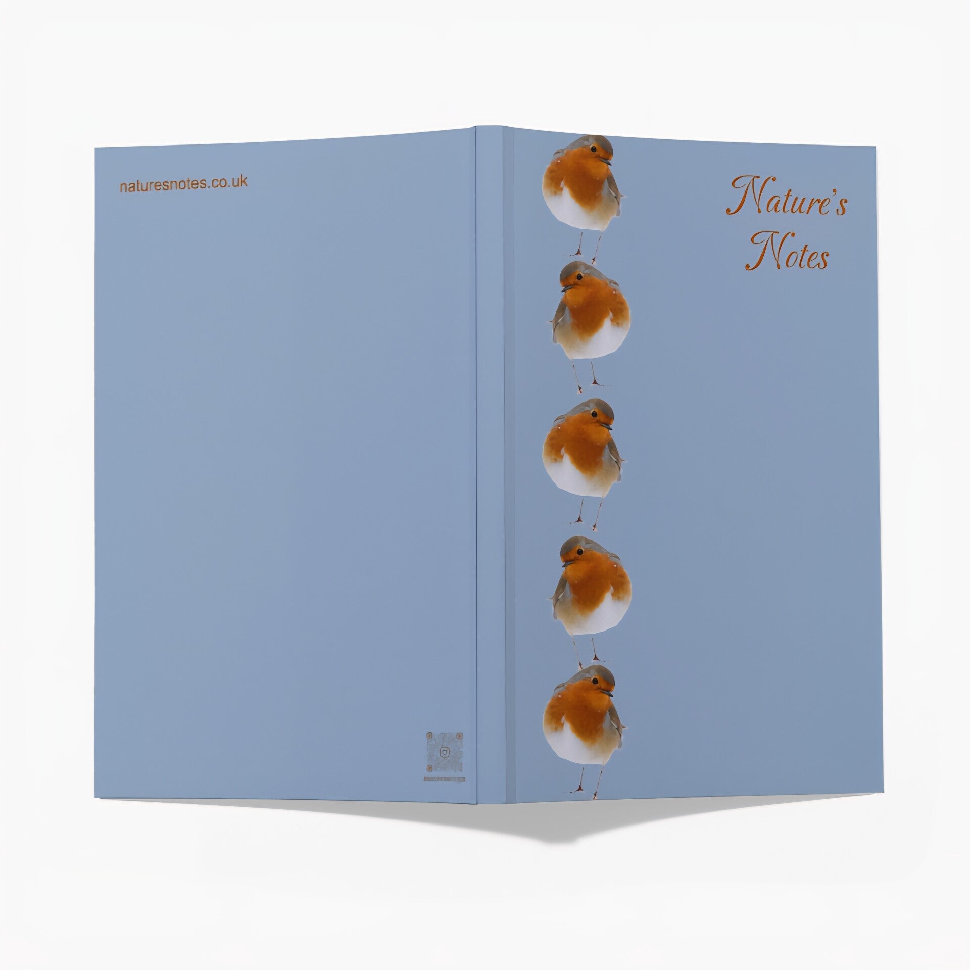 Perfect Bound A5 Notebook - Robin D5